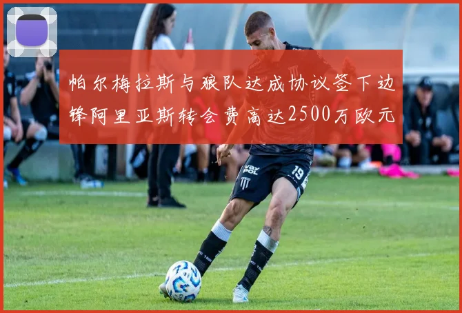 帕尔梅拉斯与狼队达成协议签下边锋阿里亚斯转会费高达2500万欧元