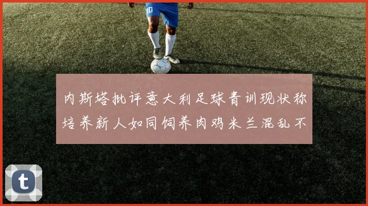 内斯塔批评意大利足球青训现状称培养新人如同饲养肉鸡米兰混乱不堪