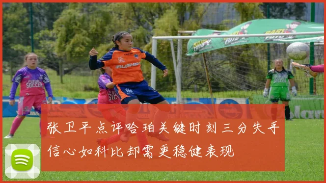 张卫平点评哈珀关键时刻三分失手信心如科比却需更稳健表现