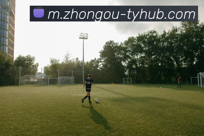 奖项证书